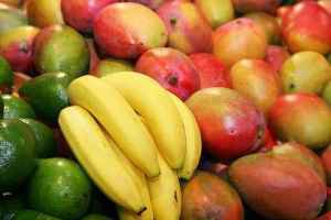 Bartering for Food, Seedlings and Dental Work Image